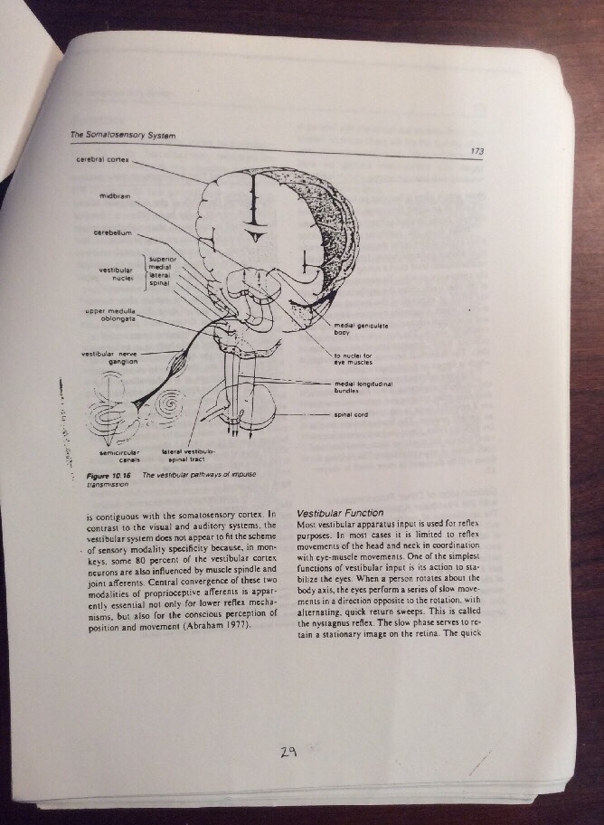 Physical Education 104 Introduction To Motor Learning (1991, Softcover) UC Davis - Image 10