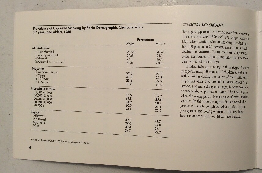 Smoking Tobacco & Health 1989 Softback US Dept of Health & Human Services - Image 10