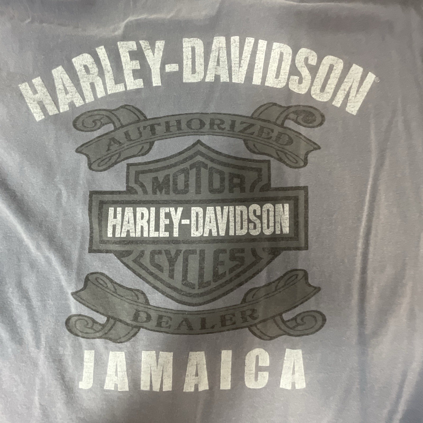 Harley-Davidson Jamaica T-Shirt XL Gray Skull Wings Biker Tee Comfort Colors - Image 9