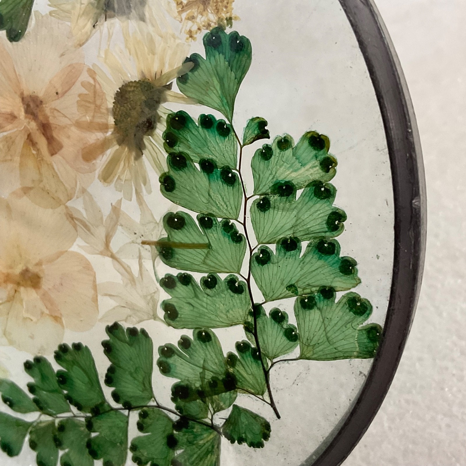 Pressed Flower Glass Suncatcher 4in Round Hanging Botanical Decor - Image 8
