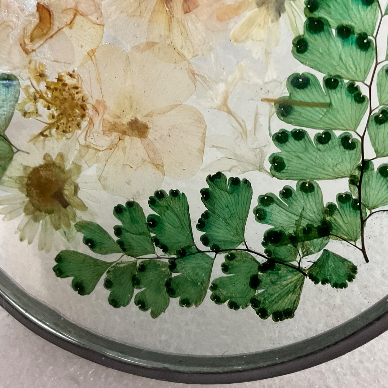 Pressed Flower Glass Suncatcher 4in Round Hanging Botanical Decor - Image 9
