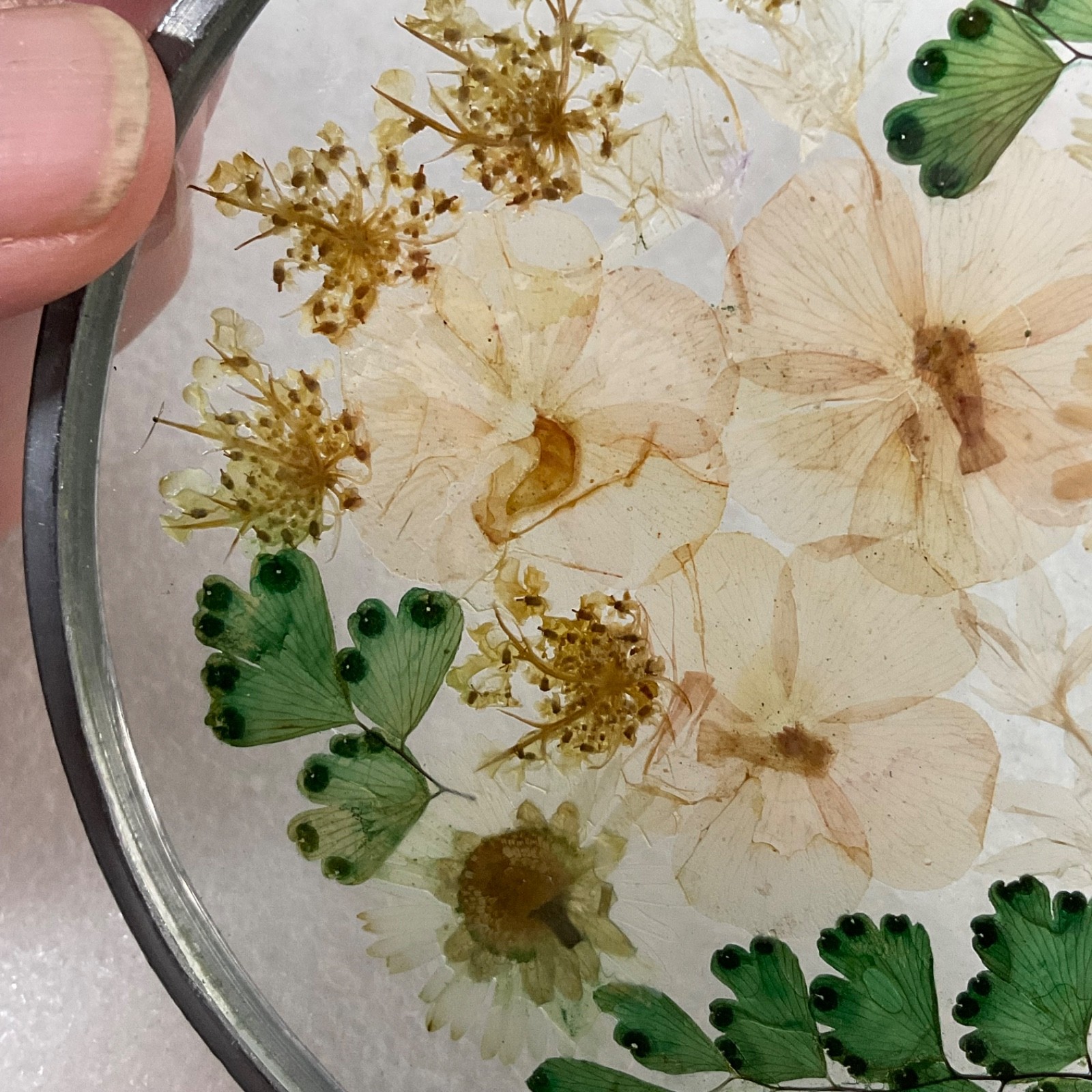 Pressed Flower Glass Suncatcher 4in Round Hanging Botanical Decor - Image 10