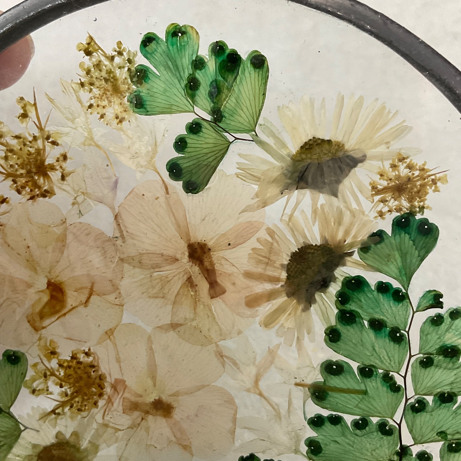 Pressed Flower Glass Suncatcher 4in Round Hanging Botanical Decor - Image 11