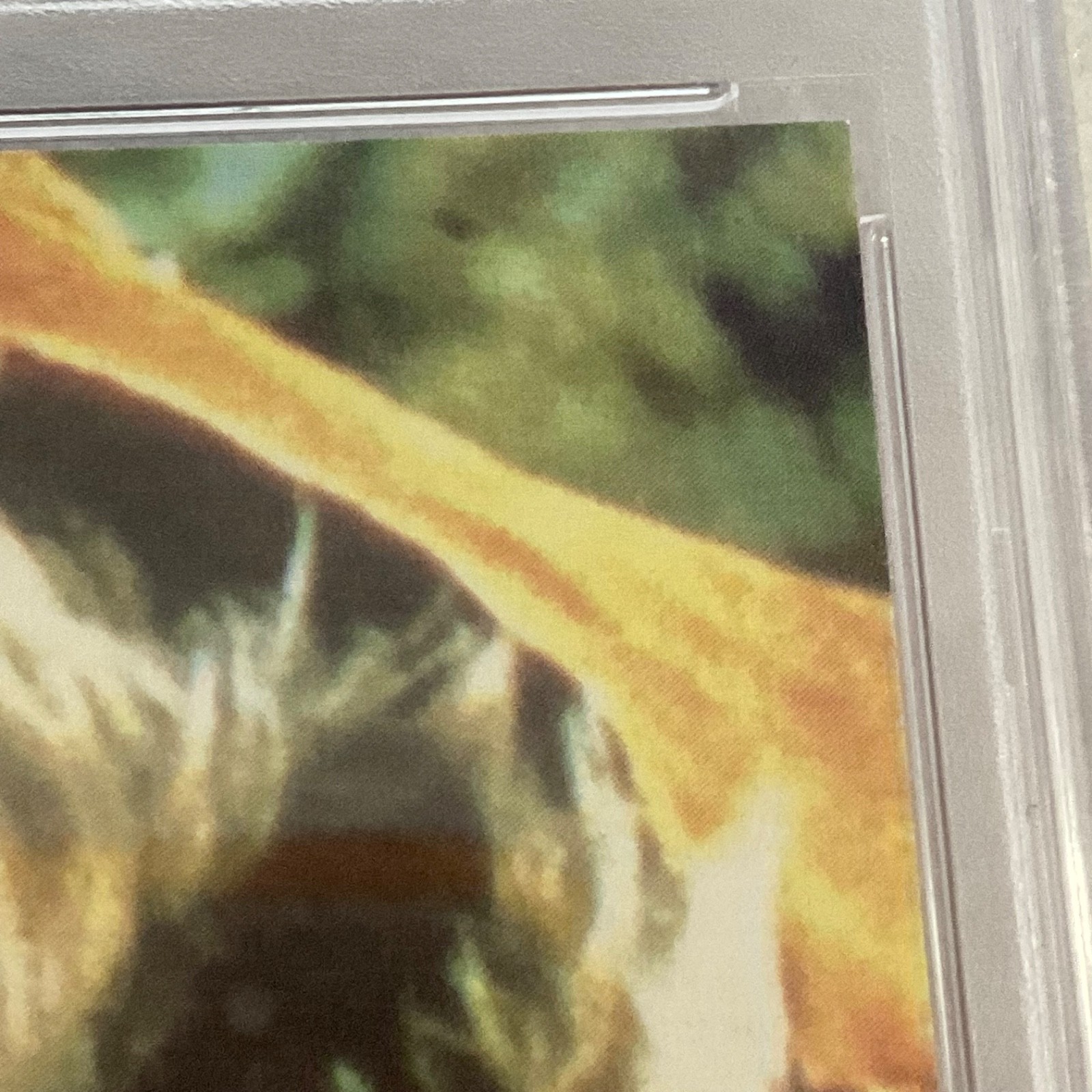 Star Wars 1983 Return Jedi R2-D2 Red Boarder Sticker Card #18 PSA8 CERT#73371211 - Image 14