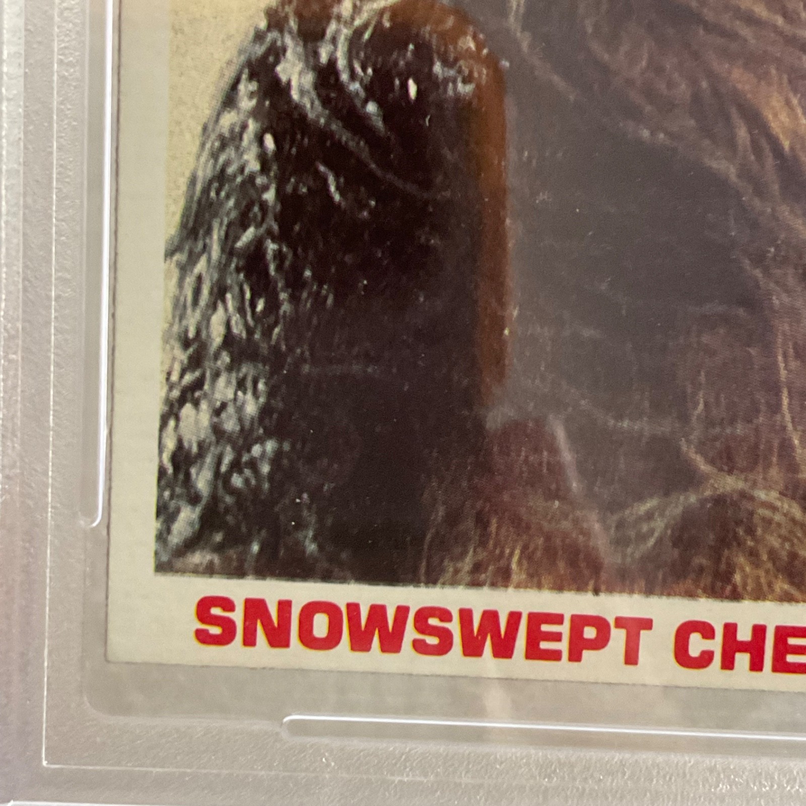 1980 Star Wars Burger King Snow Battle Bounty 3-Panel PSA 7 CERT#149549757 - Image 10