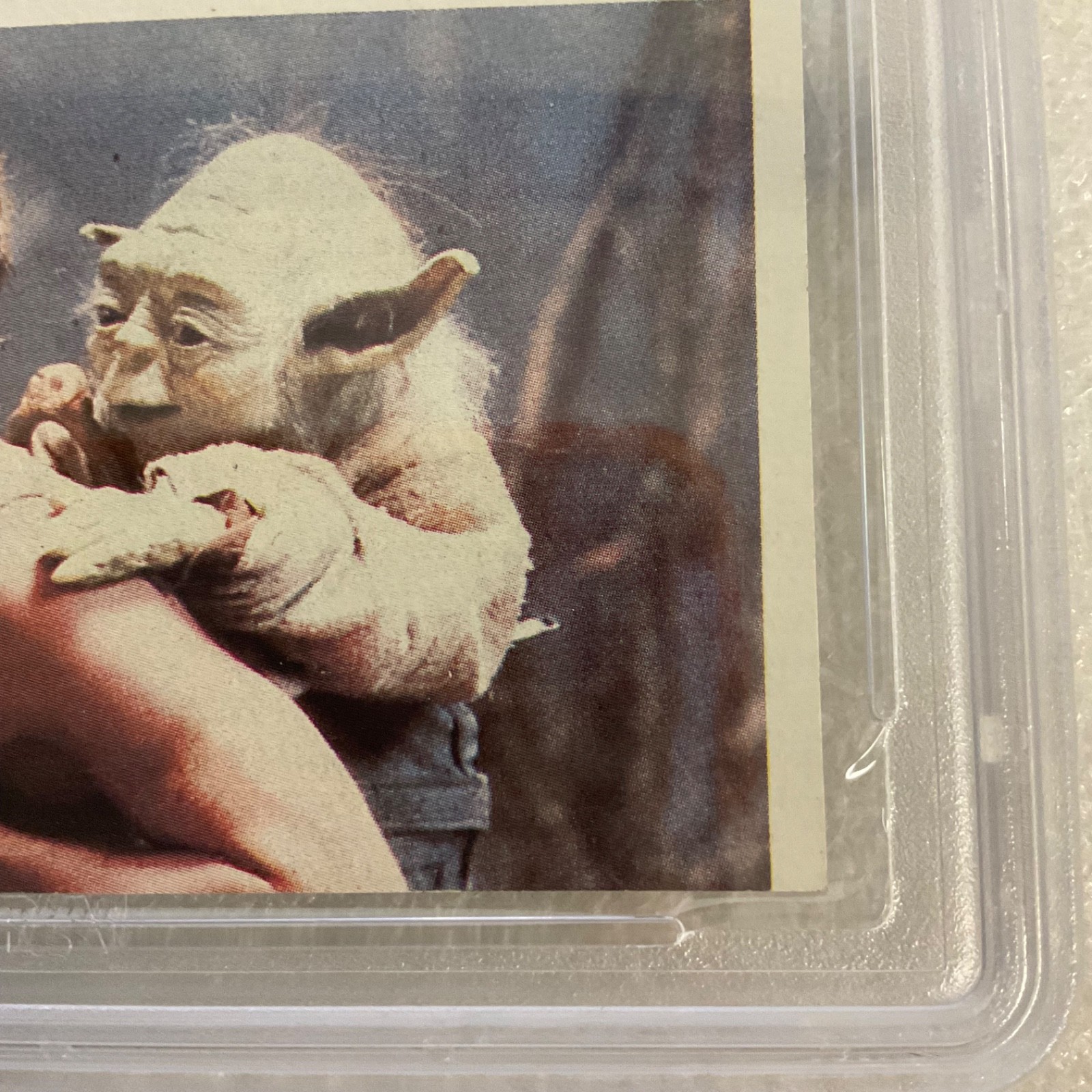 1980 Star Wars Burger King Seduced Dashing Luke 3-Panel PSA Auth CERT#149549760 - Image 5