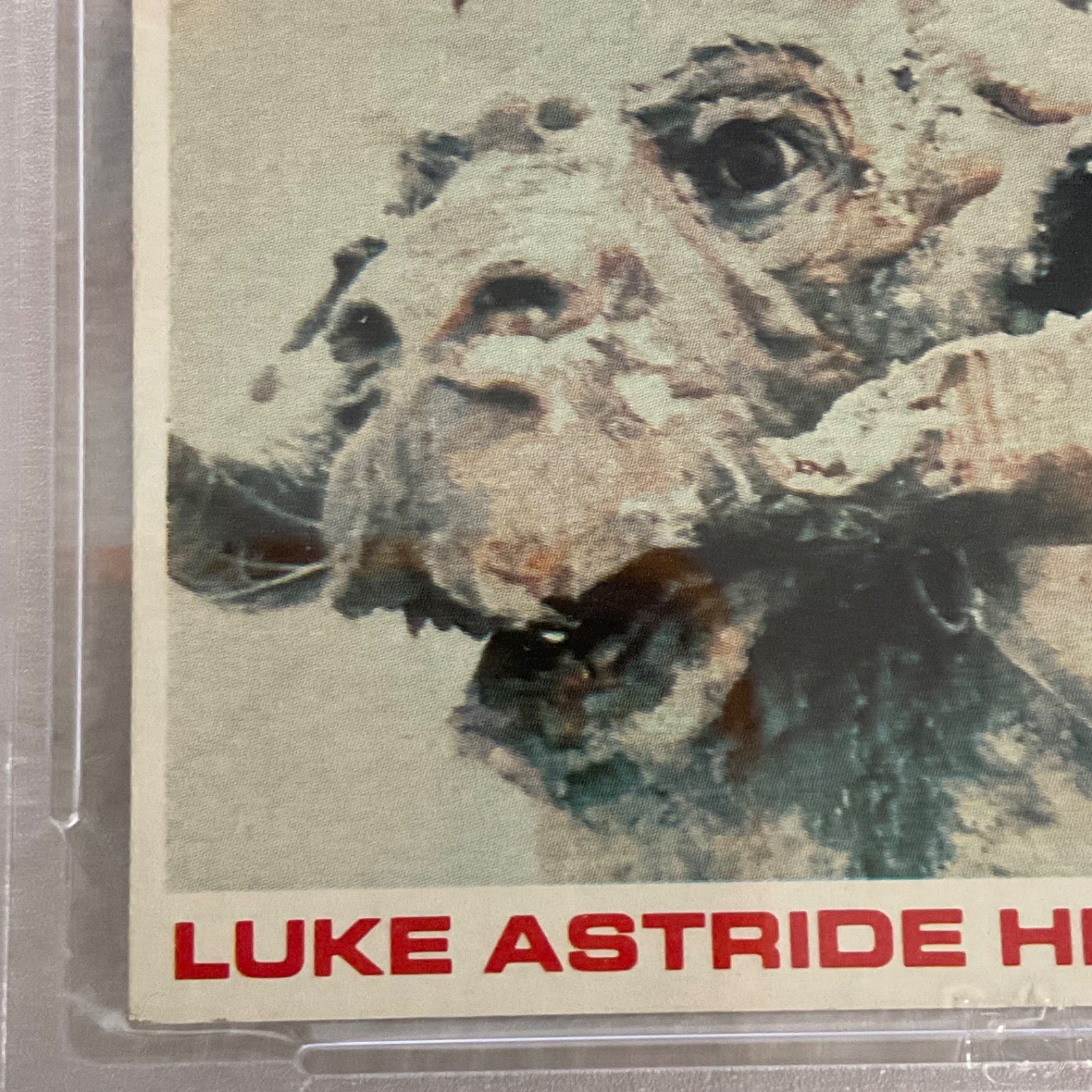 1980 Star Wars Burger King Yoda Luke 3-Panel PSA 6 CERT#149549753 - Image 9
