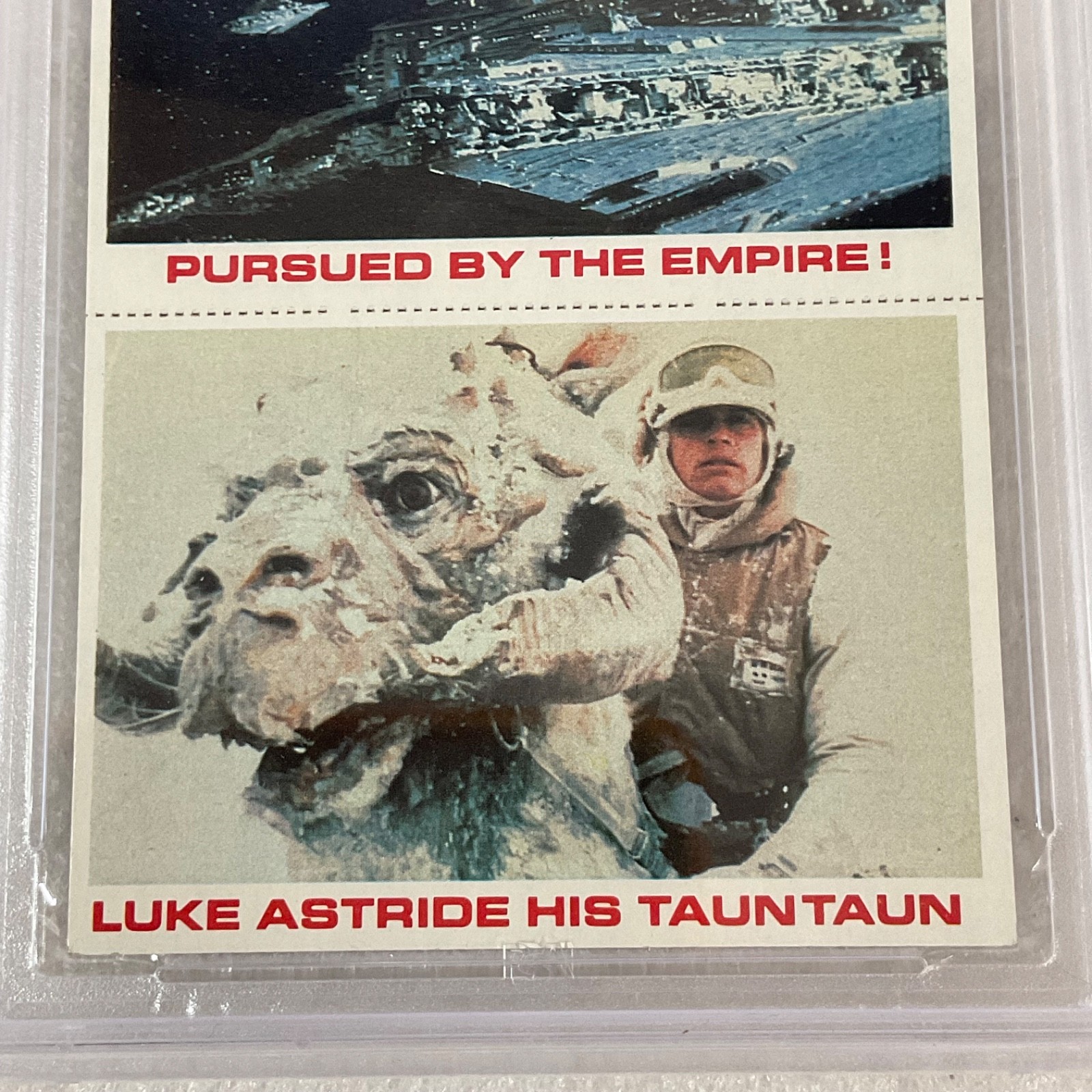 1980 Star Wars Burger King Yoda Luke 3-Panel PSA 6 CERT#149549753 - Image 5