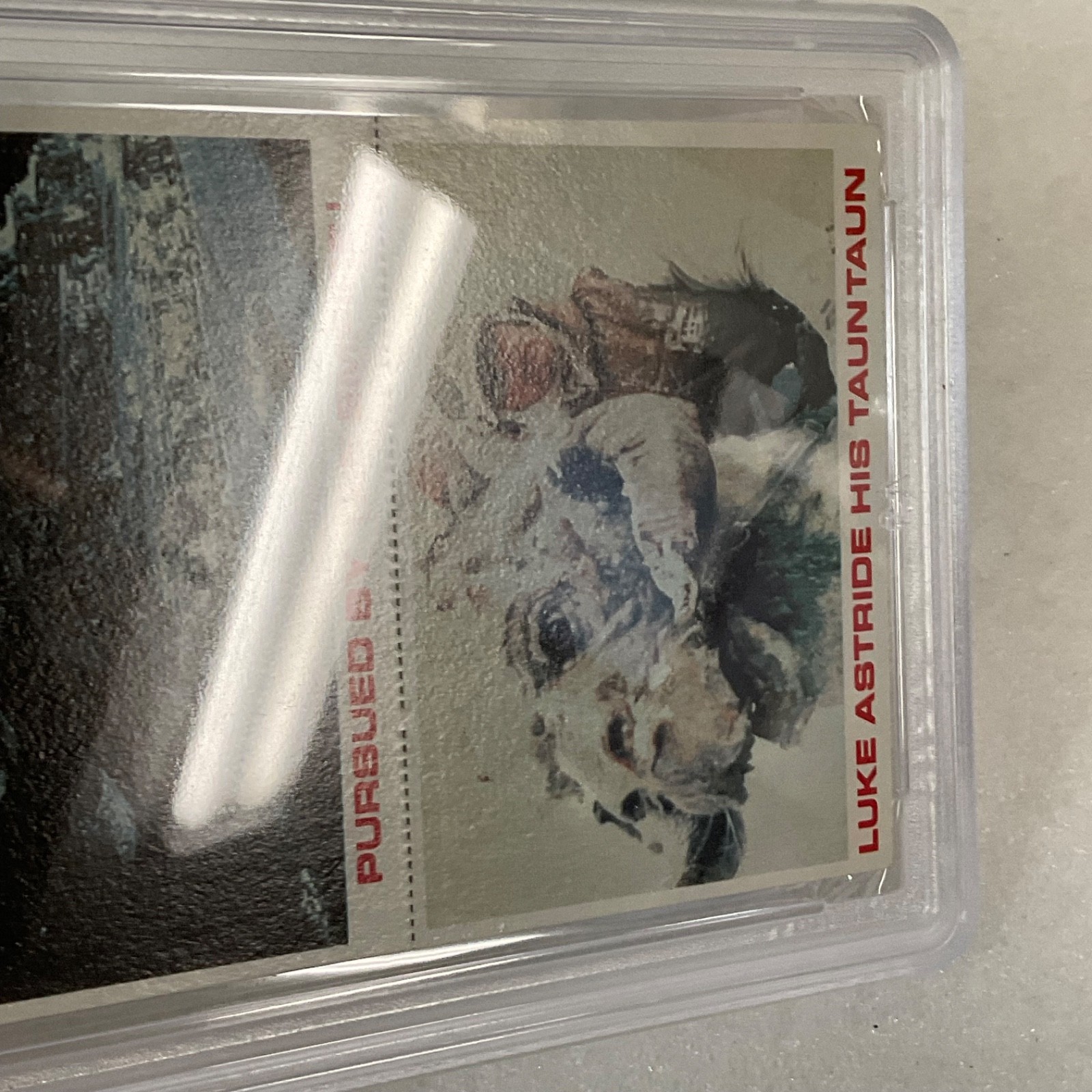 1980 Star Wars Burger King Yoda Luke 3-Panel PSA 6 CERT#149549753 - Image 12